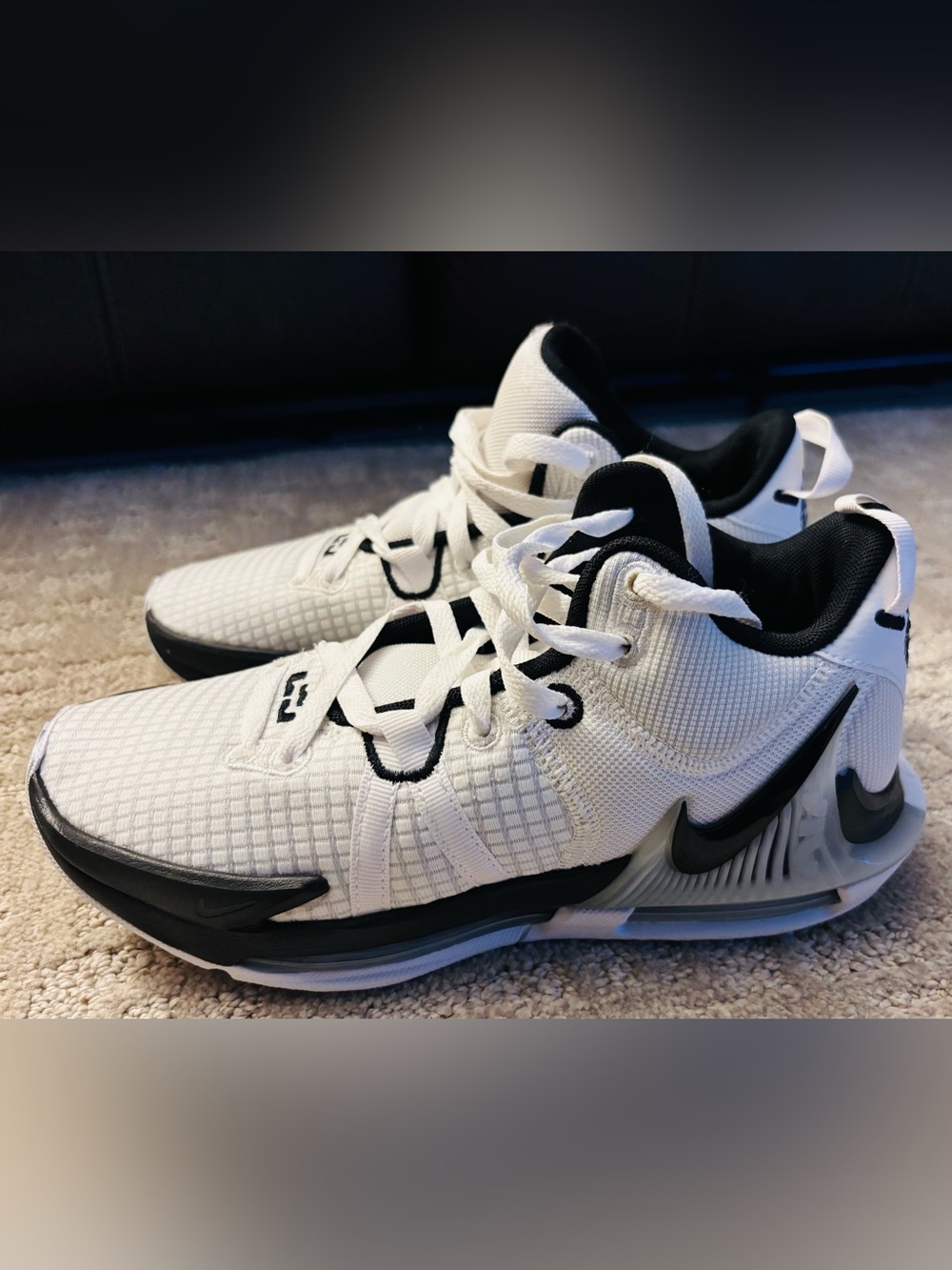 Nike LeBron Witness 7 TB